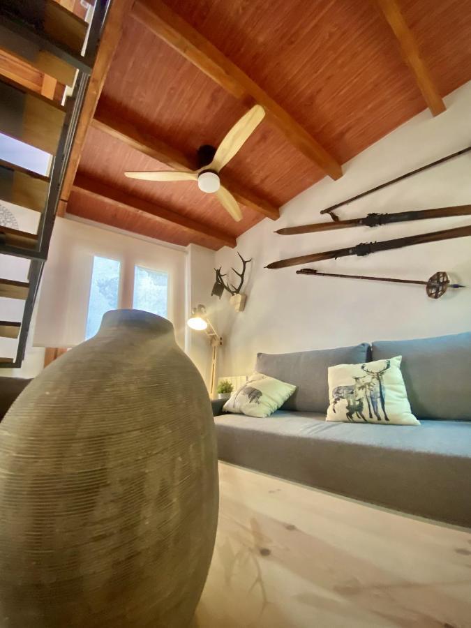 Cal Domenec Rialp - Duplex Con Encanto - Se Admiten Mascotas Экстерьер фото